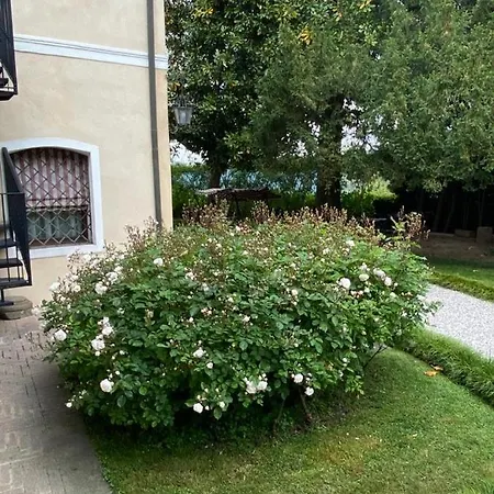 Maria